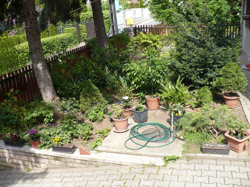 Kitty Apartman Lägenhet Miskolc Exteriör bild